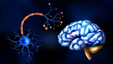Epilepsi: Belirtileri, Tanısı ve Yönetimi